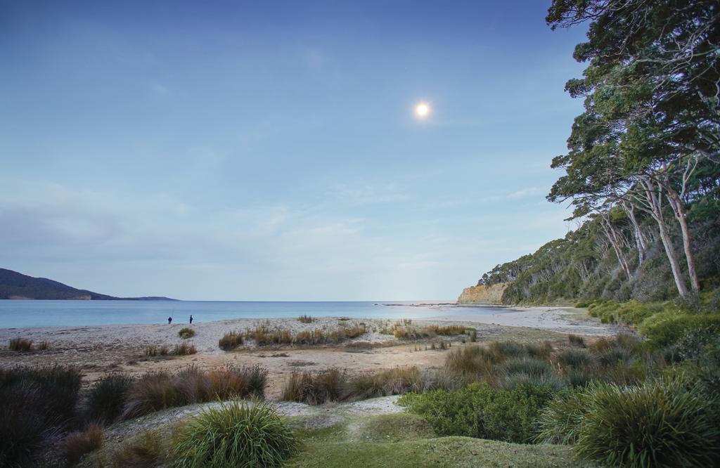 Vila Depot Beach Cabins Durras Exteriér fotografie